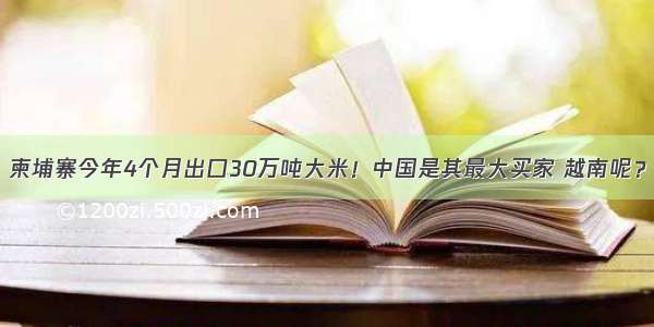 柬埔寨今年4个月出口30万吨大米！中国是其最大买家 越南呢？