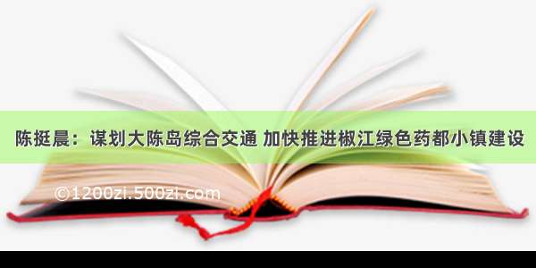 陈挺晨：谋划大陈岛综合交通 加快推进椒江绿色药都小镇建设