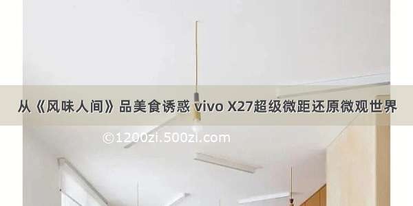 从《风味人间》品美食诱惑 vivo X27超级微距还原微观世界