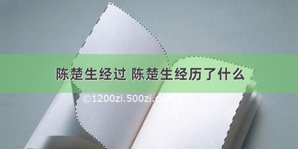 陈楚生经过 陈楚生经历了什么