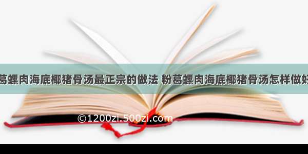 粉葛螺肉海底椰猪骨汤最正宗的做法 粉葛螺肉海底椰猪骨汤怎样做好吃