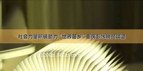 社会力量积极助力“世界苗乡”重庆彭水脱贫攻坚