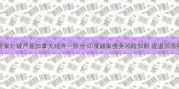 专家：破产是加拿大经济一部分 印度越南债务风险加剧 或退回原形