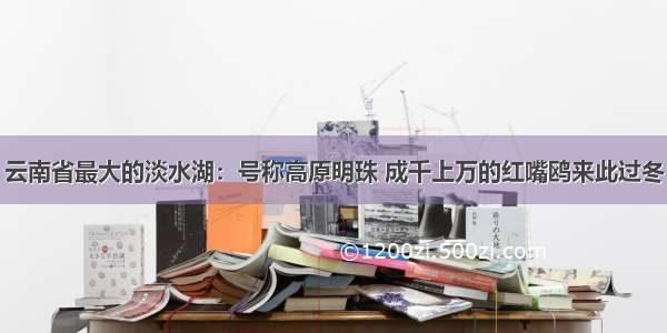 云南省最大的淡水湖：号称高原明珠 成千上万的红嘴鸥来此过冬