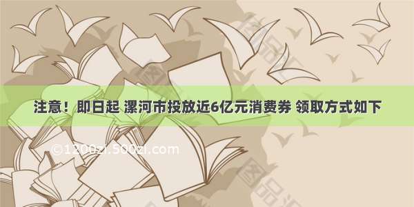 注意！即日起 漯河市投放近6亿元消费券 领取方式如下