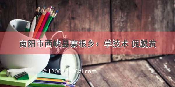 南阳市西峡县寨根乡：学技术 促脱贫