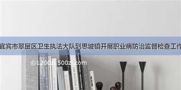 宜宾市翠屏区卫生执法大队到思坡镇开展职业病防治监督检查工作