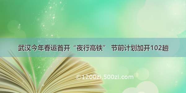 武汉今年春运首开“夜行高铁” 节前计划加开102趟