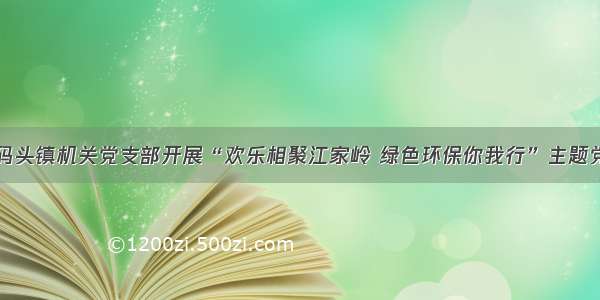 瑞昌市码头镇机关党支部开展“欢乐相聚江家岭 绿色环保你我行”主题党日活动