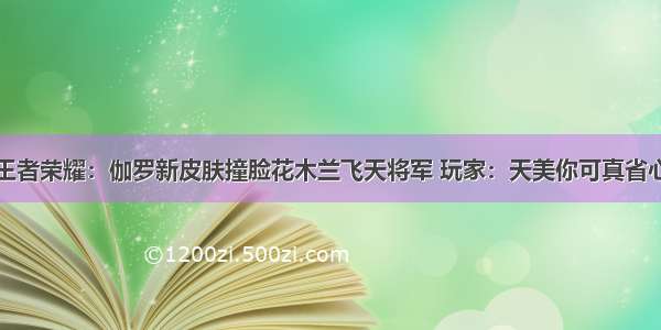 王者荣耀：伽罗新皮肤撞脸花木兰飞天将军 玩家：天美你可真省心