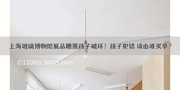 上海玻璃博物馆展品糟熊孩子破坏！孩子犯错 该由谁买单？