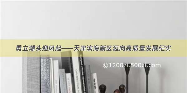 勇立潮头迎风起——天津滨海新区迈向高质量发展纪实