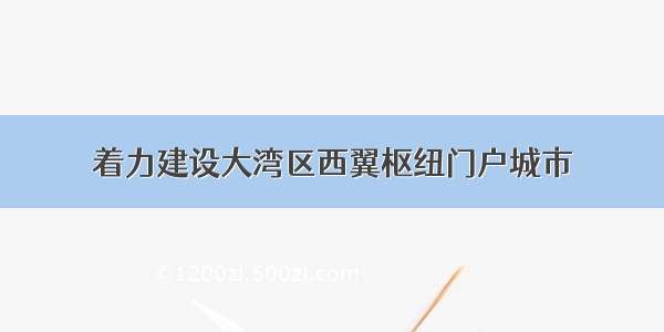 着力建设大湾区西翼枢纽门户城市