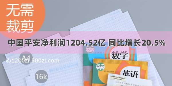 中国平安净利润1204.52亿 同比增长20.5%