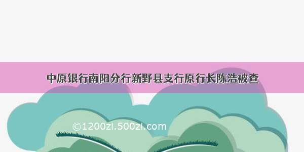 中原银行南阳分行新野县支行原行长陈浩被查