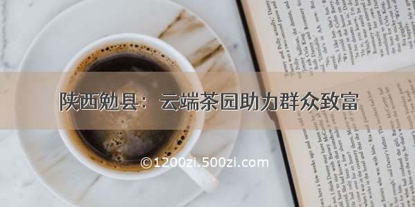 陕西勉县：云端茶园助力群众致富