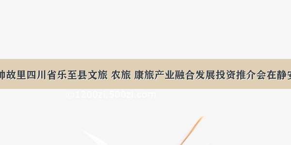 陈毅元帅故里四川省乐至县文旅 农旅 康旅产业融合发展投资推介会在静安区举行