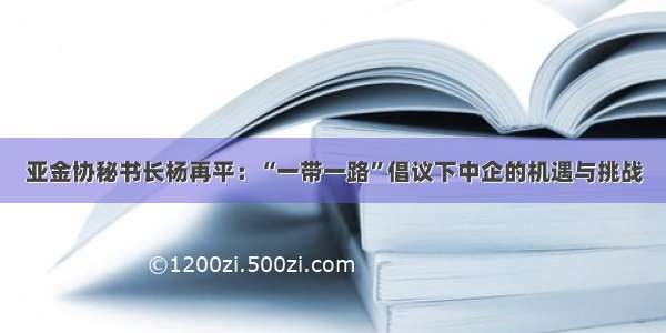 亚金协秘书长杨再平：“一带一路”倡议下中企的机遇与挑战