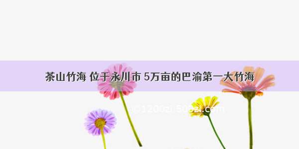 茶山竹海 位于永川市 5万亩的巴渝第一大竹海