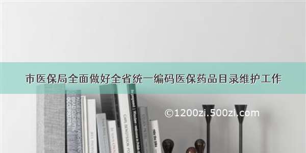 市医保局全面做好全省统一编码医保药品目录维护工作