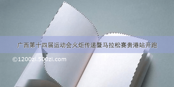 广西第十四届运动会火炬传递暨马拉松赛贵港站开跑