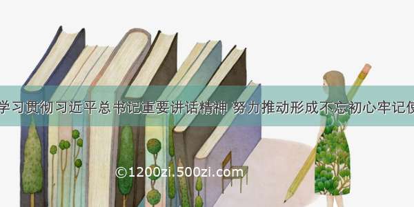 林铎：深入学习贯彻习近平总书记重要讲话精神 努力推动形成不忘初心牢记使命长效机制