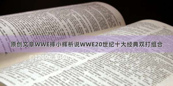 原创文章WWE摔小辉析说WWE20世纪十大经典双打组合