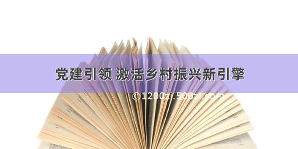 党建引领 激活乡村振兴新引擎