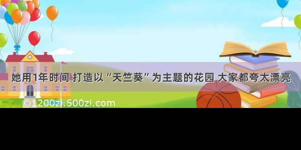 她用1年时间 打造以“天竺葵”为主题的花园 大家都夸太漂亮