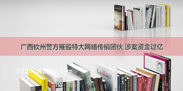 广西钦州警方摧毁特大网络传销团伙 涉案资金过亿