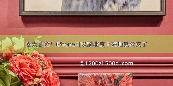 喜大普奔！iPhone可以刷北京上海地铁公交了