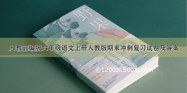 人教部编版六年级语文上册人教版期末冲刺复习试卷及答案