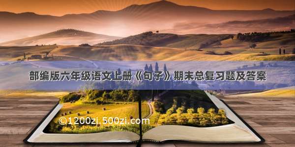 部编版六年级语文上册《句子》期末总复习题及答案