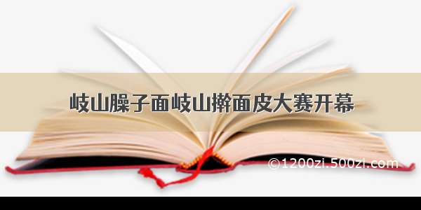 岐山臊子面岐山擀面皮大赛开幕