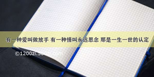 有一种爱叫做放手 有一种情叫永远思念 那是一生一世的认定