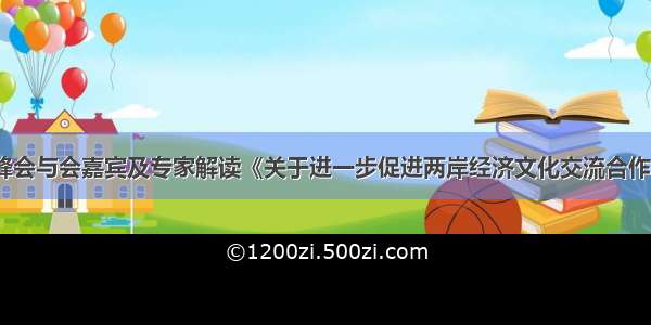 两岸企业家峰会与会嘉宾及专家解读《关于进一步促进两岸经济文化交流合作的若干措施》