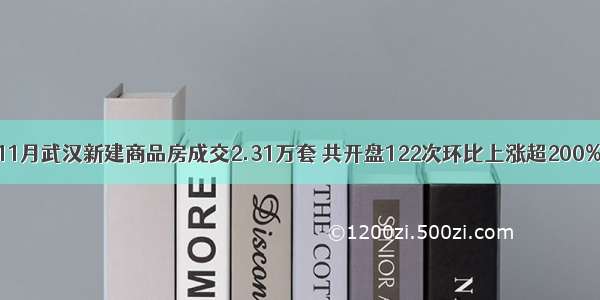 11月武汉新建商品房成交2.31万套 共开盘122次环比上涨超200%