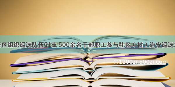 鹤城区组织巡逻队伍51支 500余名干部职工参与社区（村）治安巡逻活动