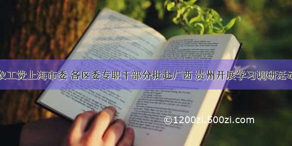 农工党上海市委 各区委专职干部分批赴广西 贵州开展学习调研活动