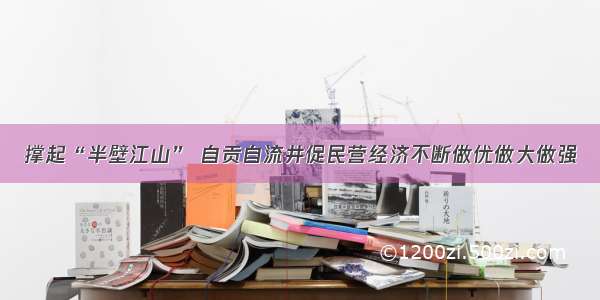 撑起“半壁江山” 自贡自流井促民营经济不断做优做大做强