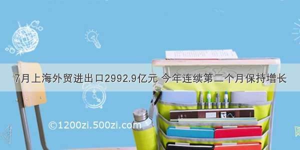 7月上海外贸进出口2992.9亿元 今年连续第二个月保持增长