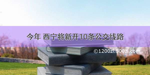 今年 西宁将新开10条公交线路