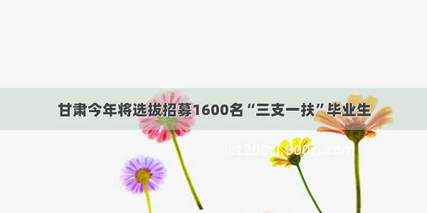 甘肃今年将选拔招募1600名“三支一扶”毕业生