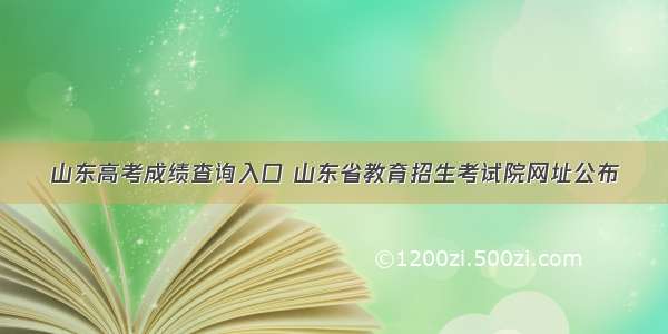 山东高考成绩查询入口 山东省教育招生考试院网址公布