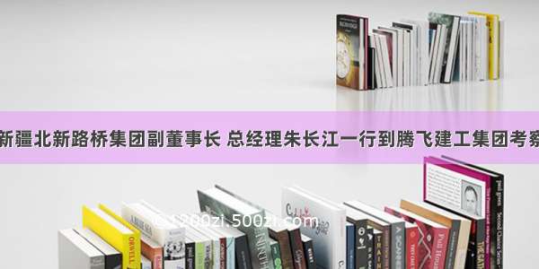 新疆北新路桥集团副董事长 总经理朱长江一行到腾飞建工集团考察