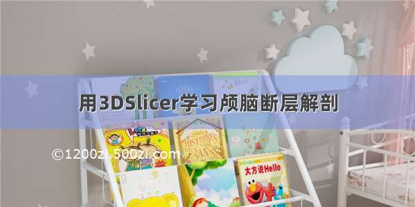 用3DSlicer学习颅脑断层解剖