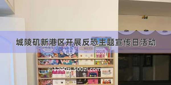 城陵矶新港区开展反恐主题宣传日活动