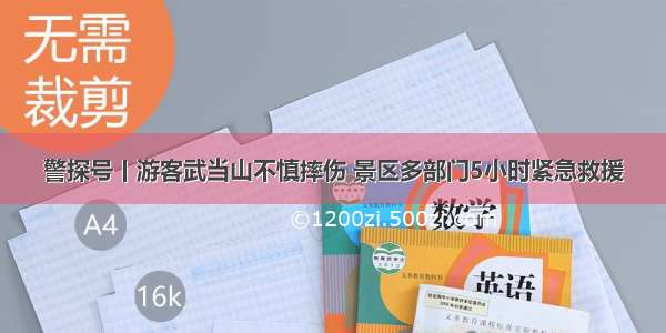 警探号丨游客武当山不慎摔伤 景区多部门5小时紧急救援