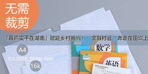 「真抓实干在湖南」赋能乡村振兴！“金融村官”奔走在田坎上