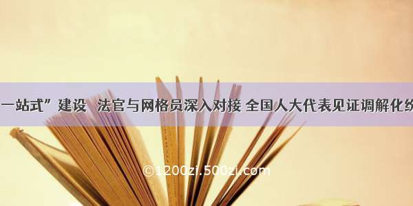 “一站式”建设 ▏法官与网格员深入对接 全国人大代表见证调解化纷争